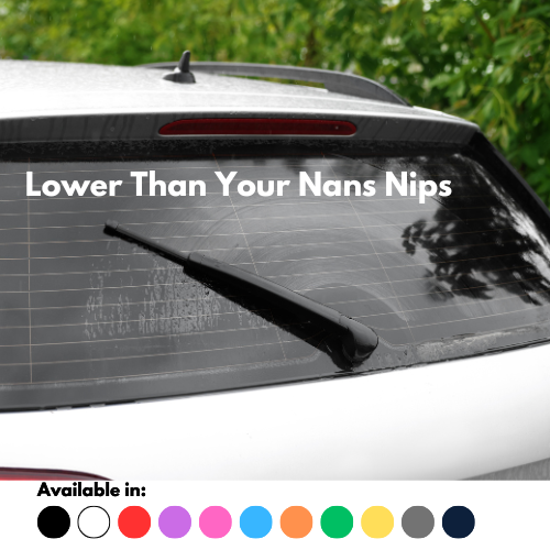 Lower Than Your Nans Nips Sticker