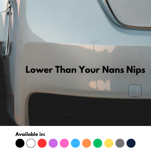 Lower Than Your Nans Nips Sticker